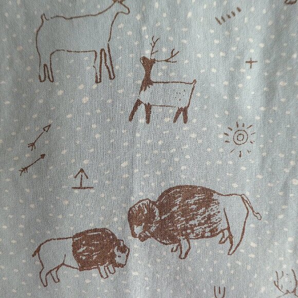 SiLK In God We Trust NYC Shirt Blouse Button Front Pale Green Cave Drawings USA - Picture 5 of 9